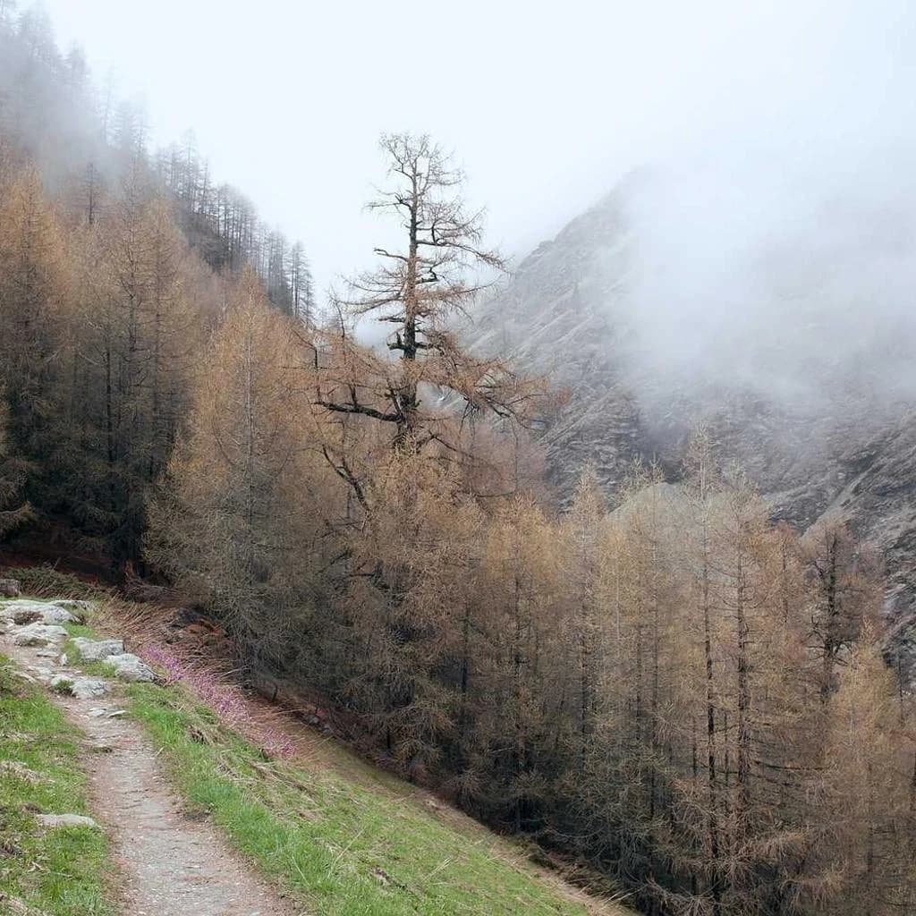 Deepseek researchers presenting AI model training innovations