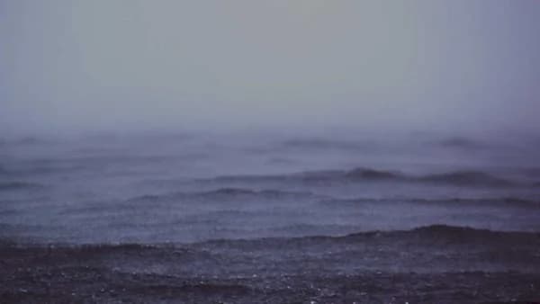 DZ Bank and Qivalis logos representing stablecoin consortium partnership