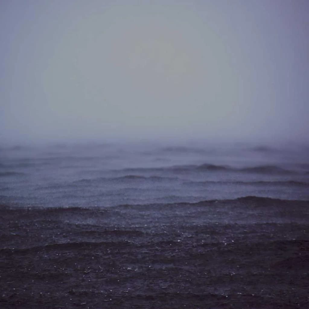 DZ Bank and Qivalis logos representing stablecoin consortium partnership